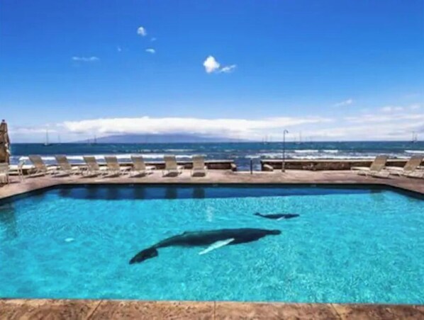 Una piscina al aire libre, una piscina climatizada