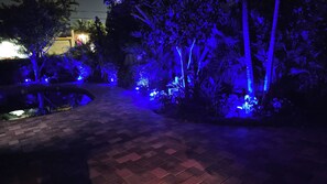 A pathway in a garden with blue lighting, surrounded by various plants and trees. - Capri Cottage, Pool, walk to restaurants! (West Palm Beach)