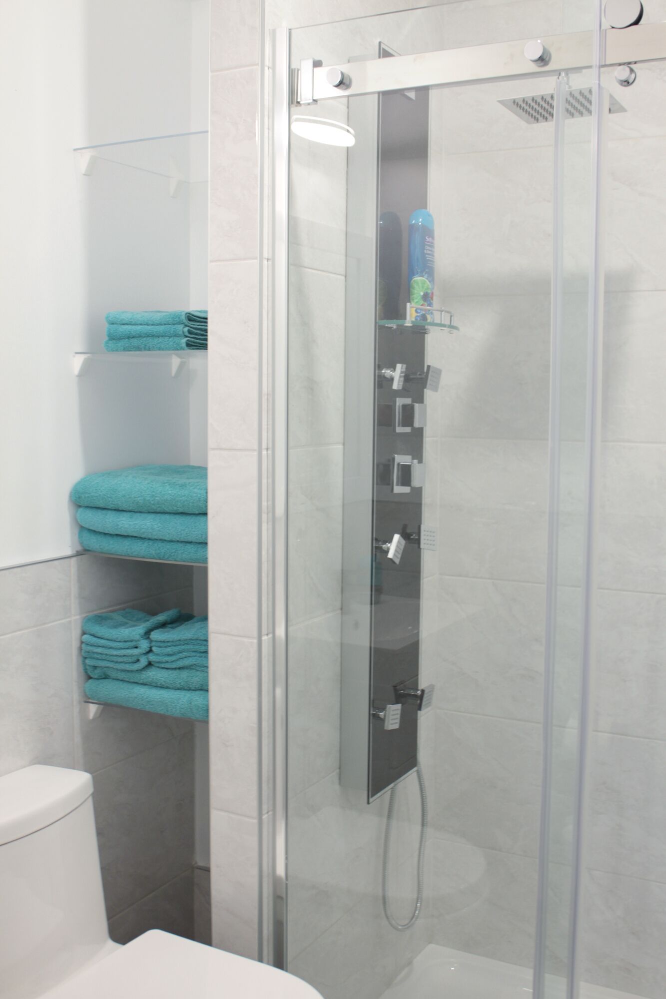 Ensemble baignoire-douche, séchoir à cheveux, savon, shampooing