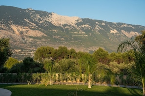 Majestic backdrop of Mount Ainos and our Flowering Gardens