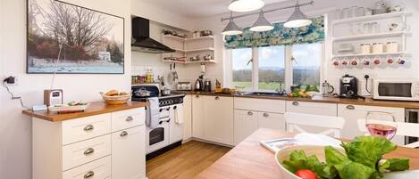 Fridge, dishwasher, cookware/dishes/utensils