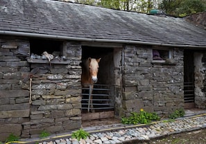 Exterior - Jane's Cottage (Ambleside)