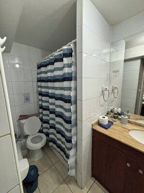 Combined shower/bathtub, towels, soap, toilet paper - Loft in downtown Santiago (Santiago)