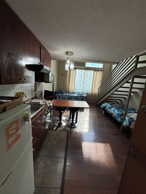 Interior - Loft in downtown Santiago (Santiago)