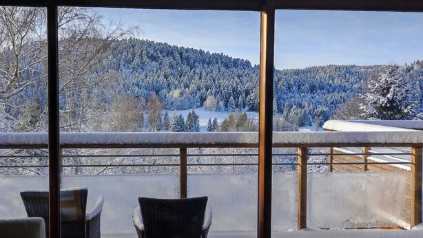 Property grounds - Le Cerf, Chalet Cocooning Avec Piscine et Billard (Ban-sur-Meurthe-Clefcy)