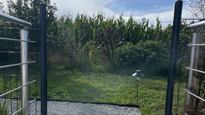 Un sentier en bois mène à une zone herbeuse, délimitée par une clôture en métal et agrémentée d’un lampadaire.