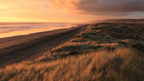 A coastal landscape with a beach and grassy dunes.
