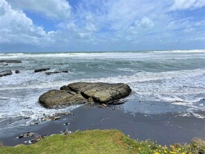 Beach nearby, beach towels - Cosy retreat overlooking the dune sanctuary (Port Waikato)