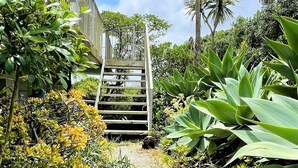 A gravel path leading to a wooden staircase surrounded by lush greenery and tropical plants.