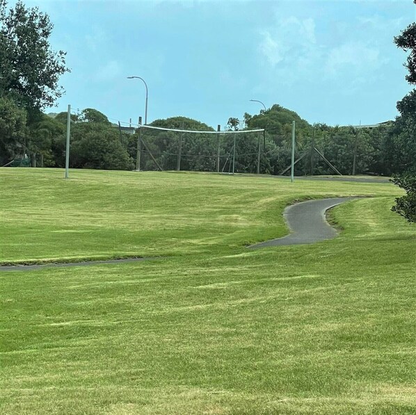 A well-maintained grassy field with a curved path leading to a sports net.