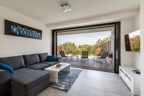 Smart TV, DVD player