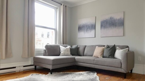 A living room with a grey sectional sofa, a large fur rug, and two abstract paintings on the wall. - 108 Historic  Downtown House (Halifax)