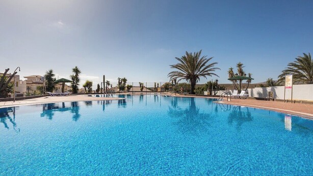 Une piscine d’un bleu éclatant, entourée de palmiers et de chaises longues, sous un ciel dégagé.
