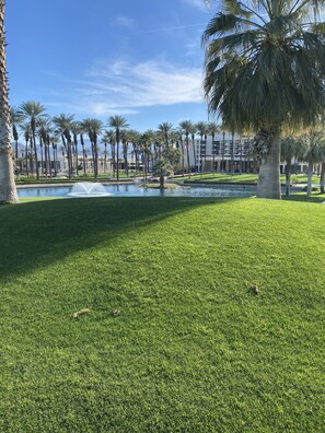 Parco della struttura