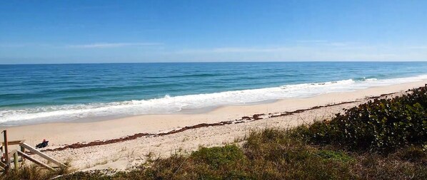 On the beach, sun-loungers - Beachfront property with pool view-Aloha (Melbourne Beach)