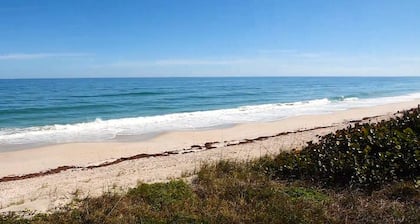 Beachfront property with pool view-Aloha