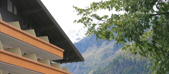 1 Studio Flat walking distance to ski lifts (we have 2 in the same building)