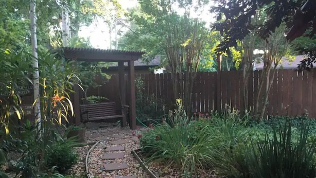 Ein Gartenpfad mit trittfesten Steinen, umgeben von verschiedenen Pflanzen und einer Holzpergola.