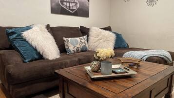 Smart TV, fireplace, books