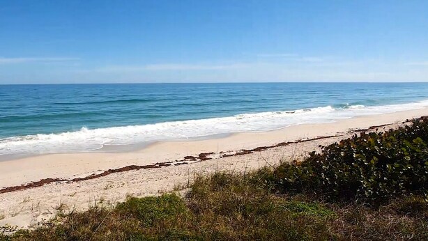 A beach with a wooden walkway leading to the shore, surrounded by vegetation. - Cozy Beach Escape -saltwater pool - Poolside Suite (Melbourne Beach)