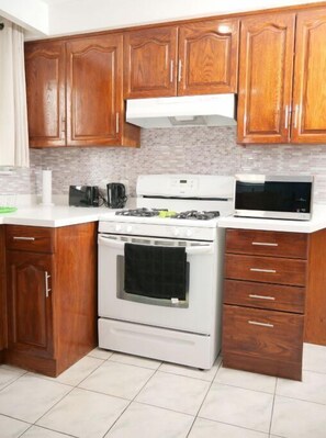 Fridge, oven, stovetop
