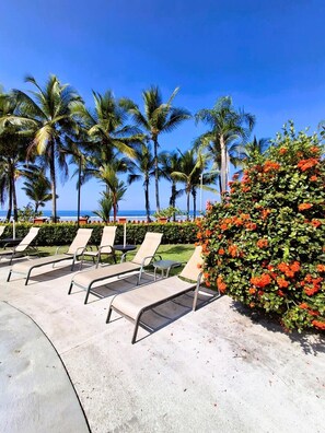 Property grounds - Entire 2 Bedroom / 2 Bath Oceanfront Condo in Jaco! (Jacó)