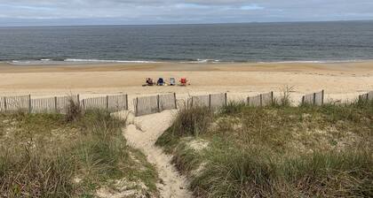 Sandy Mutts at the Beach