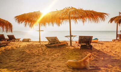 Ground floor villa with private outdoor living room - Surfers Lounge apartments