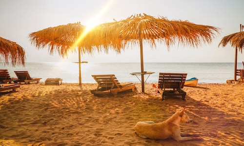 Villa OG with private roof terrace - - Appartments Surfers Lounge