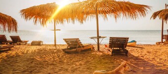 Villa OG with private roof terrace - - Appartments Surfers Lounge