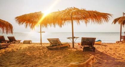 Villa OG with private roof terrace - - Appartments Surfers Lounge