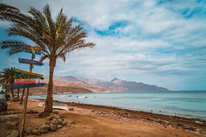 Enjoy a serene beach experience with a palm tree, rocky shoreline, and breathtaking mountain views.