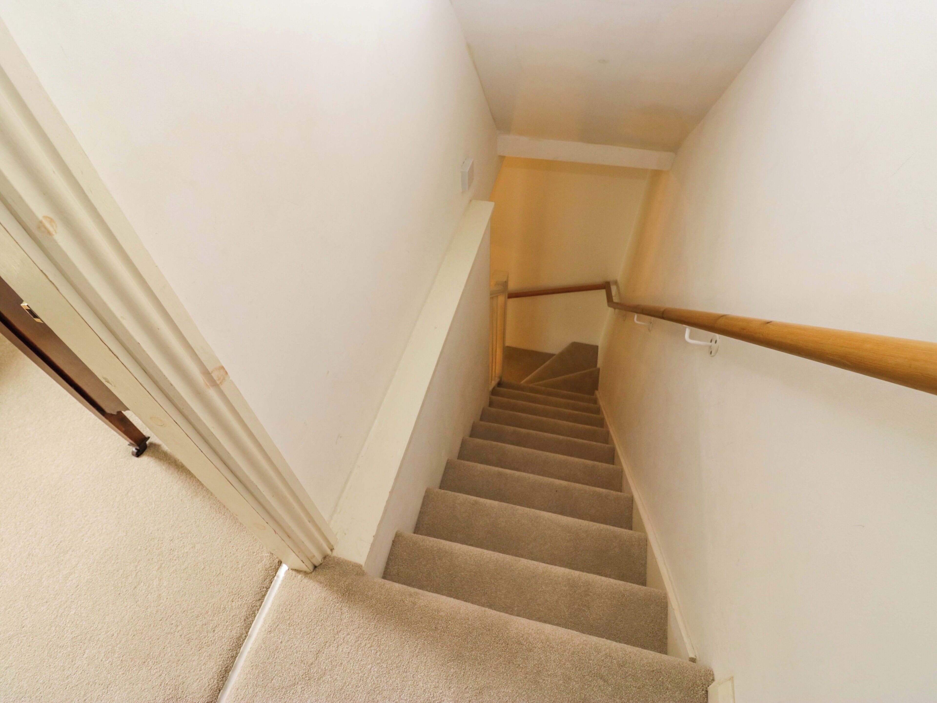Un escalier recouvert de moquette, avec une rampe en bois, des murs blancs et une porte en bas.