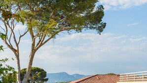 Un barrio residencial con casas, una piscina y un árbol grande.