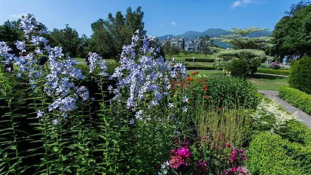 A garden with various plants and flowers, a pathway, and a building in the background. - The Cats Bield (Keswick)