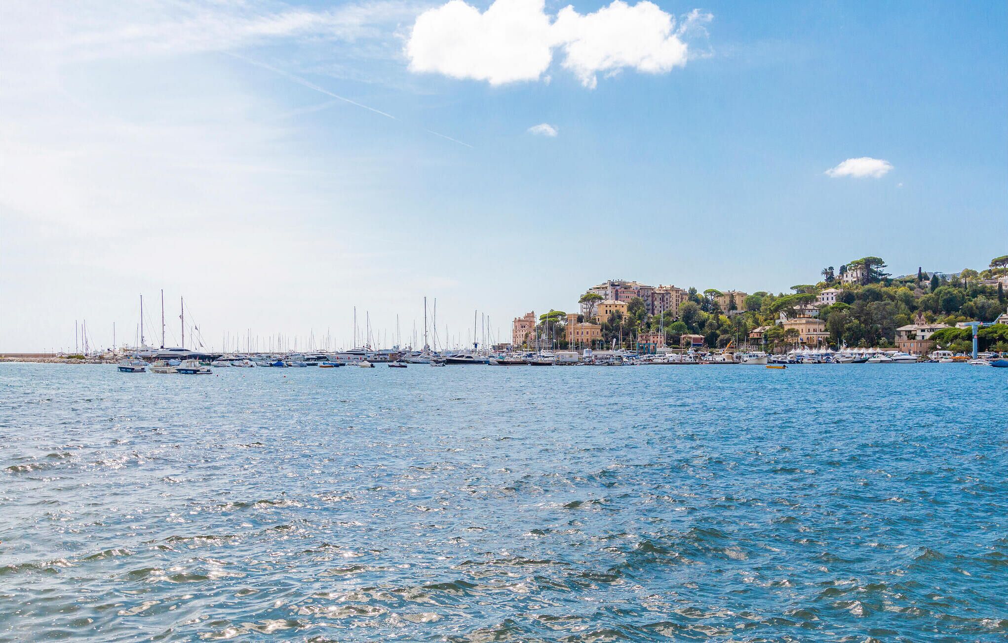 A marina with boats docked, a clear sky, and buildings on a hillside.