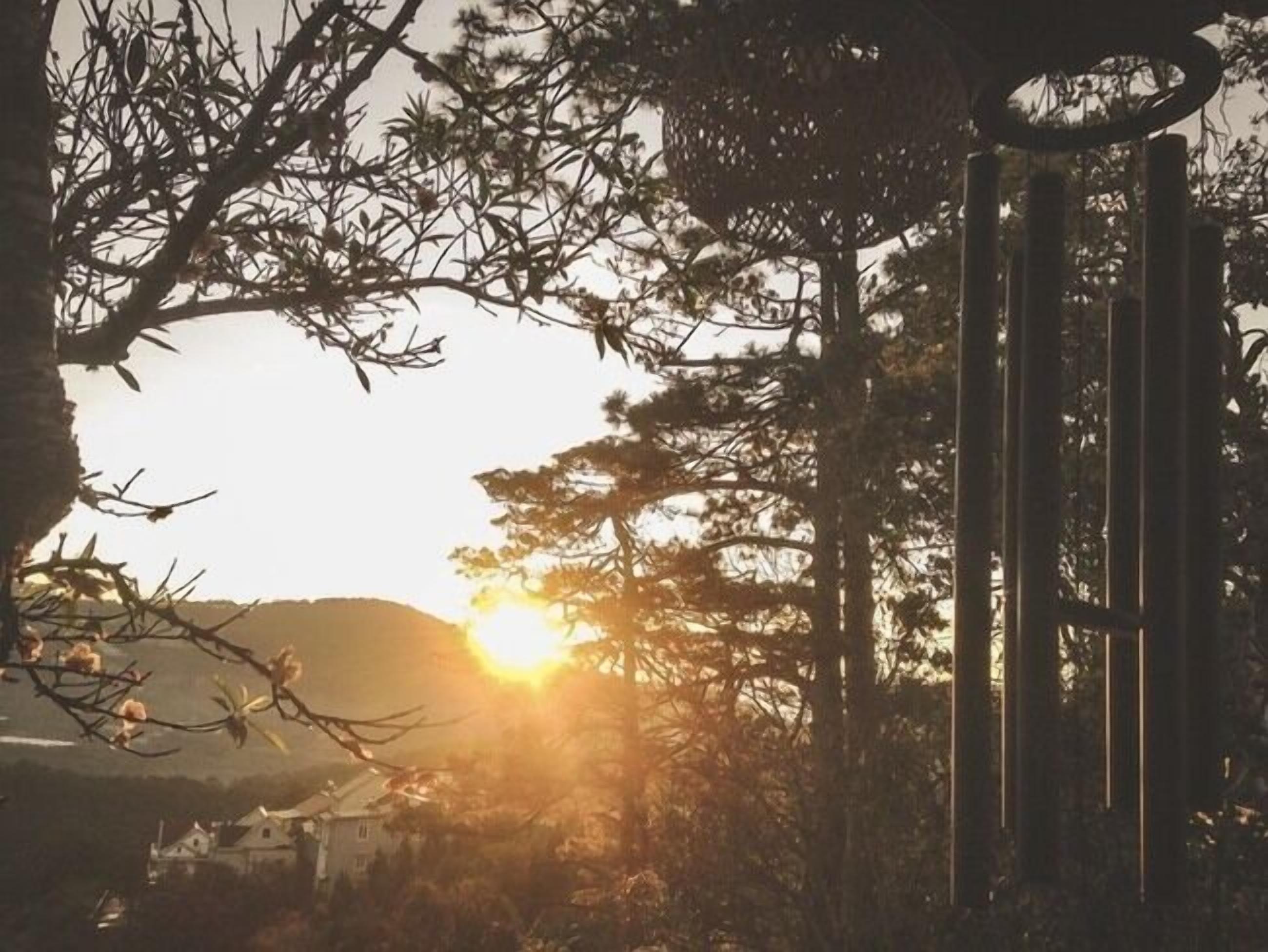 A gate with a circular top, surrounded by trees and a sunset in the background.