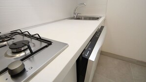 A modern kitchen with a gas stove, a dishwasher, and a sink.