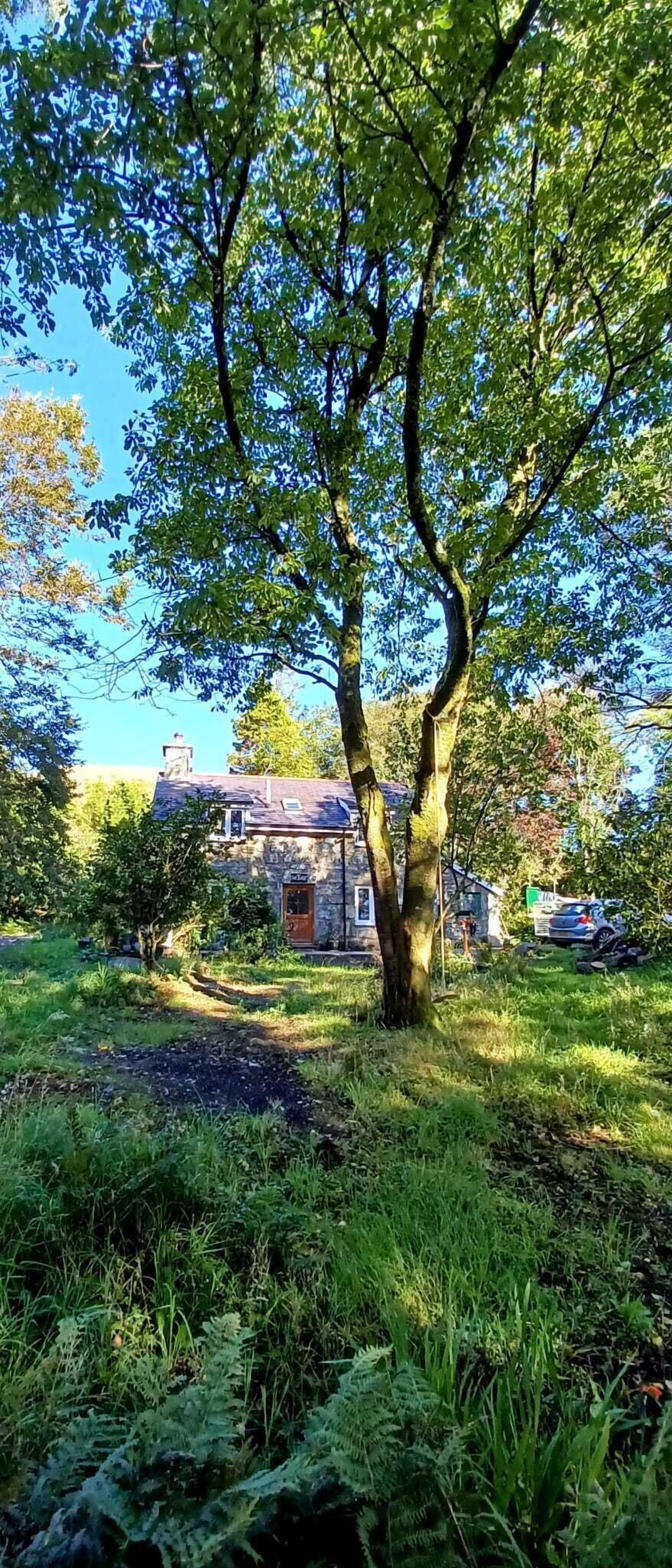 Cae Tudur, gorgeous rural retreat near Barmouth