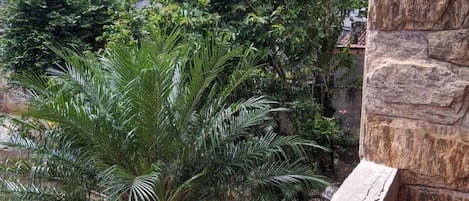 Quarto básico | Área de estar