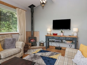 Cottage | Living area | Fireplace, DVD player