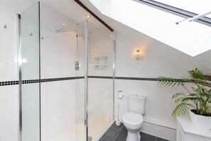 A modern bathroom with a glass shower enclosure, a toilet, and a potted plant. - The Gallery (Ambleside)