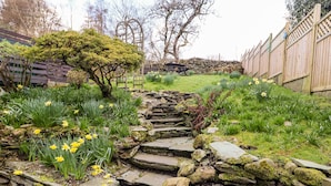 Un jardin avec un chemin de pierres, des fleurs jaunes et une clôture en bois.