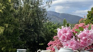 A table set outdoors with a view of mountains and trees. - Brunt How (Ambleside)