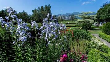 Área da propriedade