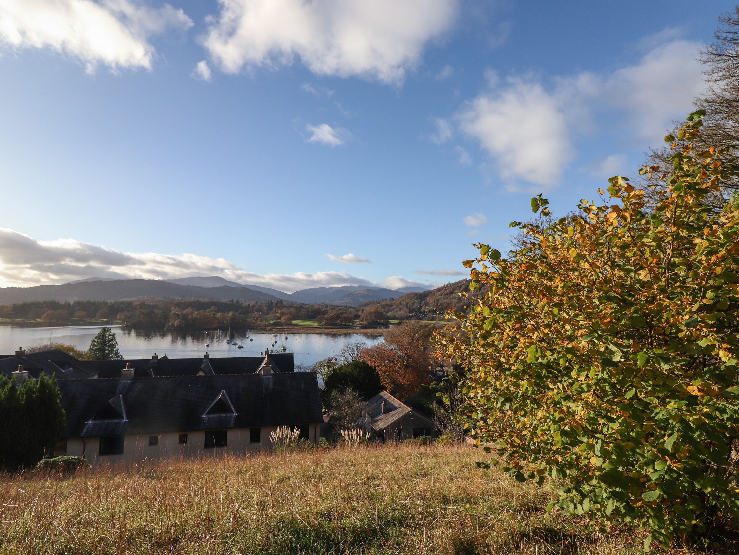 A lakeside view with buildings, a clear sky, and autumn foliage.