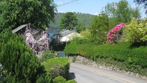 A rural road flanked by lush greenery and a small building with a sloped roof. - Fairhaven (Windermere)