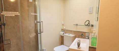 Un baño moderno con ducha de vidrio, inodoro y lavamanos con espejo arriba.