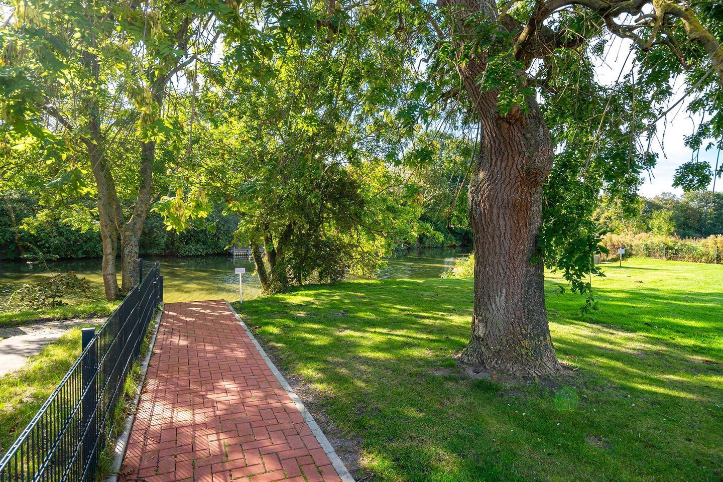 Un sendero pavimentado que atraviesa un parque con árboles y una zona cubierta de césped.