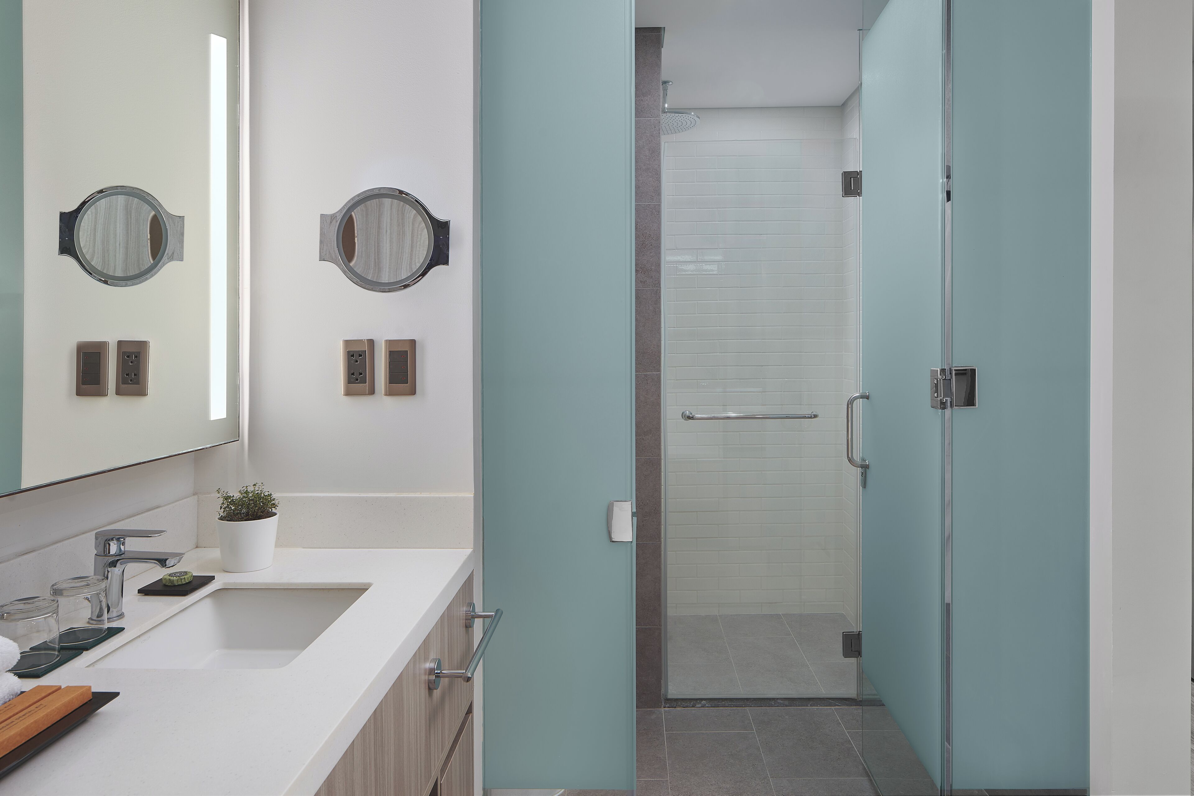 A modern bathroom with a white sink, two round mirrors, a potted plant, and a glass shower enclosure.